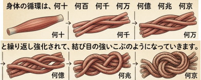 強いこぶ状の筋肉